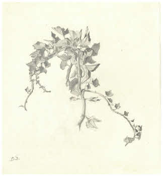 Visualizza l'immagine "FD D 2759"